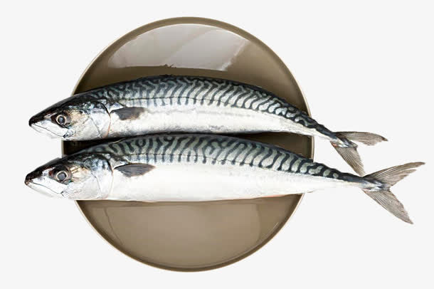 海产品鲭鱼免抠