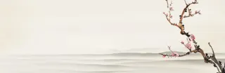 古风背景　水墨画梅花