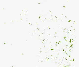 漂浮的绿叶图片免抠