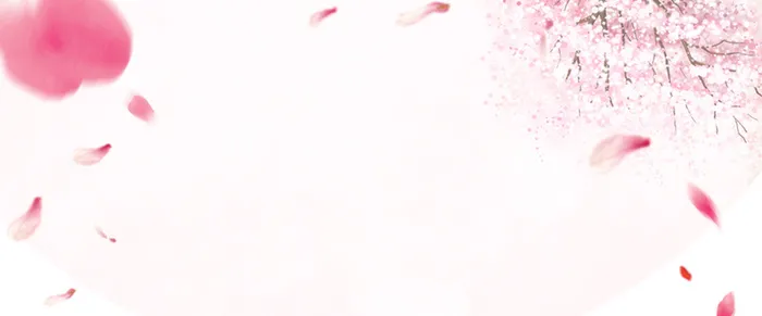 粉色花瓣梦幻白色banner背景高清
