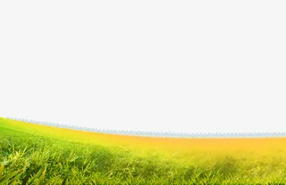 绿色清新草地边框纹理免抠