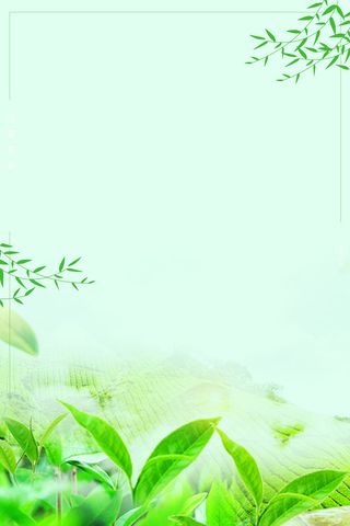 浅绿色手绘春季上新柳春天背景高清卡通手绘背景