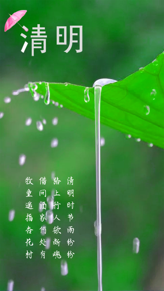 清明时节小雨高清