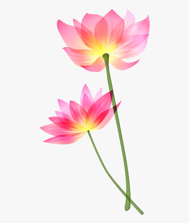 精美荷花手绘中国风插画素材免抠