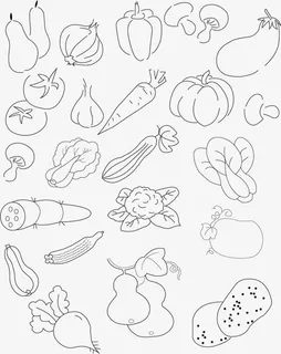 手绘蔬菜矢量图免抠 手绘蔬菜矢量图免抠