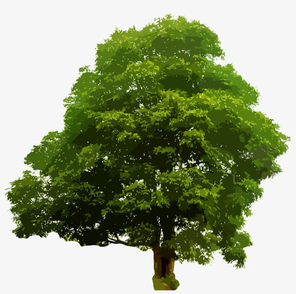 卡通手绘植物免抠