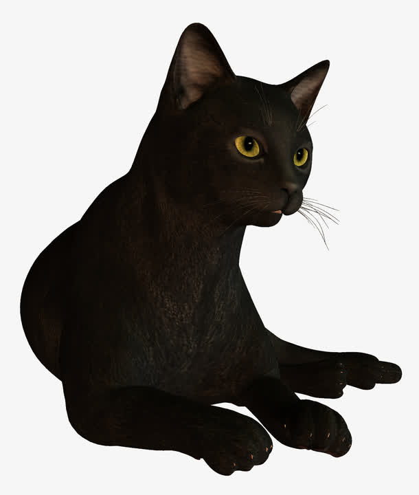 黑猫免抠