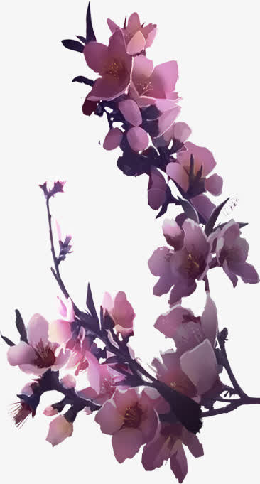 花瓣树枝桃花免抠