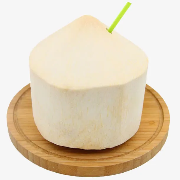 椰子免抠素材免抠