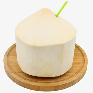 椰子免抠素材免抠