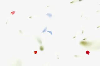 花瓣漂浮素材免抠