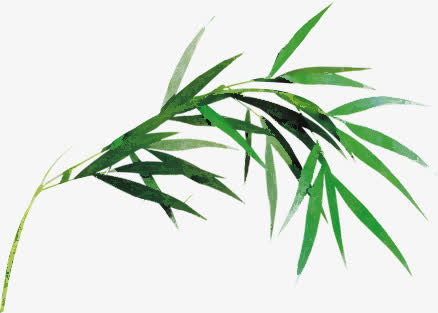 高清水墨绿色竹子免抠