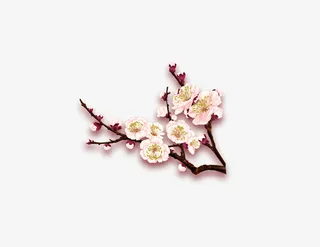 梅花png素材免抠