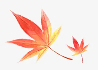 高清创意橙色渐变合成树叶免抠