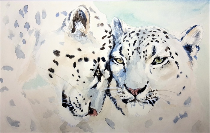 插画免扣豹子高清