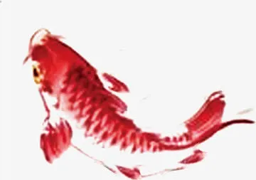 红色手绘水墨金鱼免抠