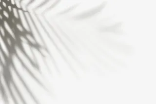 投影植物阴影免抠