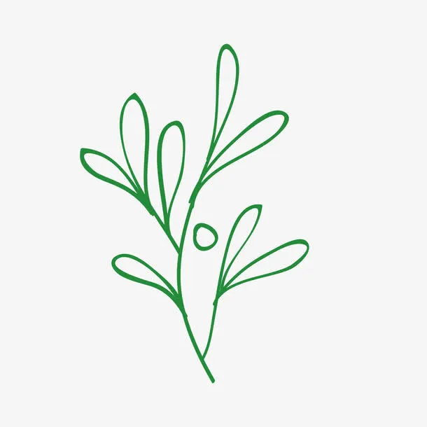 一株小草手绘简图免抠