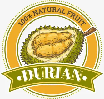 榴莲装饰贴纸免抠