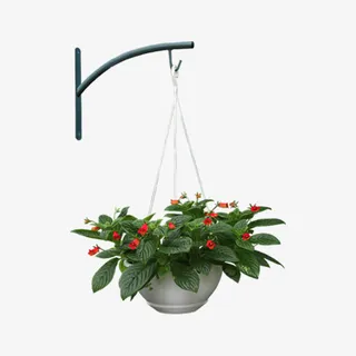 壁挂植物吊篮免抠