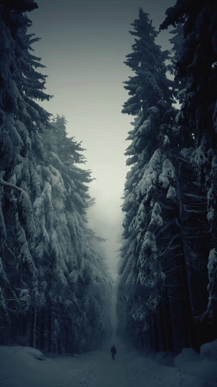 库网-恐怖森林独自走在雪路上背影大树海报高清