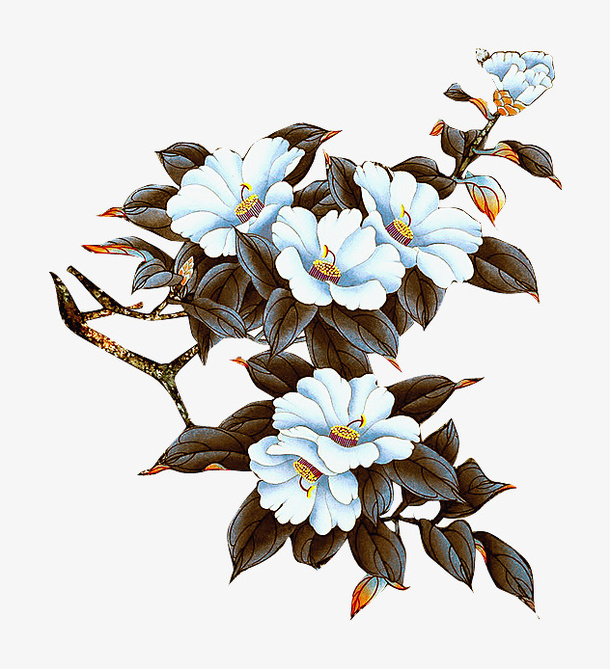 中国风花朵素材免抠