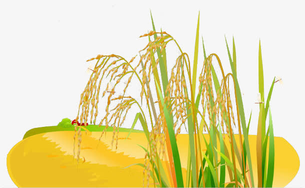 麦子卡通画免抠