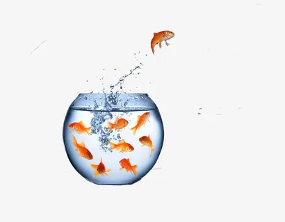 鱼缸飞跃的鱼免抠