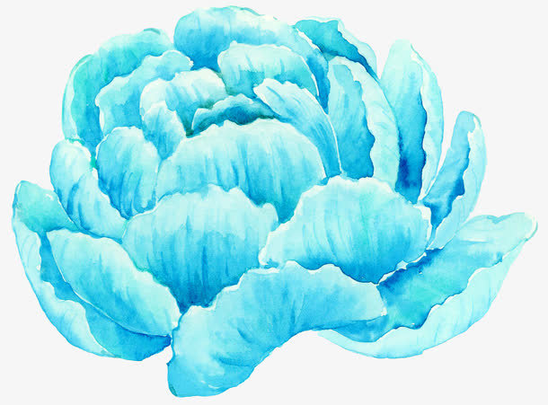 彩绘鲜花免抠