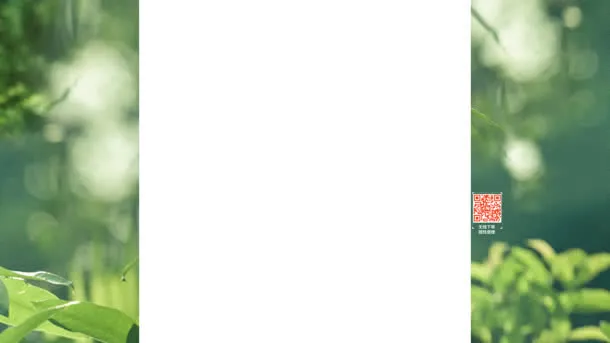 绿色模糊绿叶背景