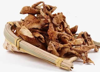 滑子菇干货免抠