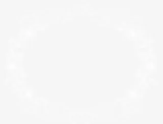 美丽的花边免抠