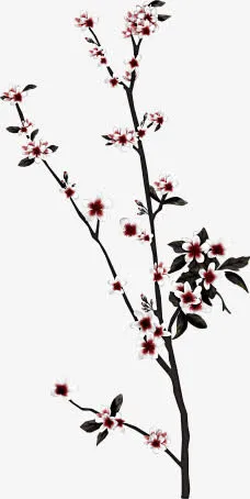 手绘桃花花朵花树免抠