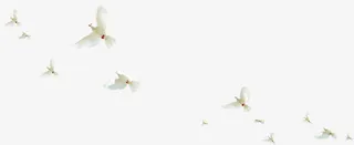 医院温馨用语提示免抠