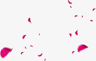 粉红色花瓣飘落免抠
