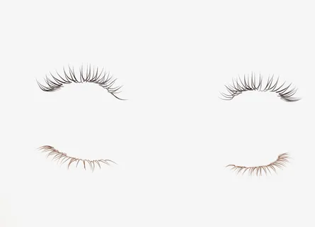 彩妆美妆眼睫毛免抠