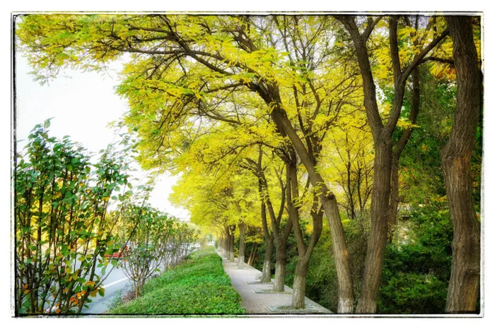 春季风景照片高清