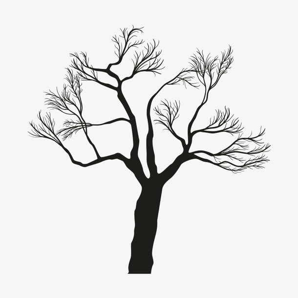 枯树 无叶 树木免抠