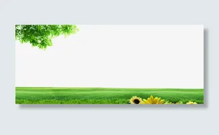 春天绿色背景图片