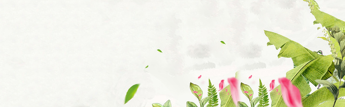 淘宝女装banner创意设计芭蕉树 花瓣 树叶高清