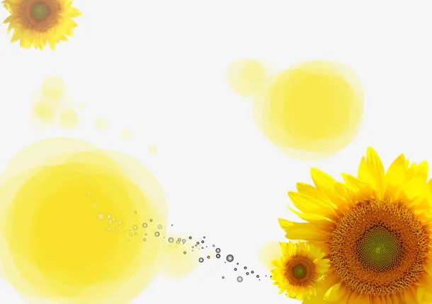 向日葵海报免抠
