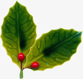 圣诞节树叶装饰素材免抠