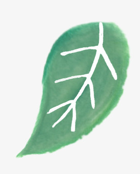 绿色叶子免抠