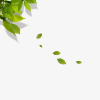 飘零的叶子免抠漂浮叶子元素