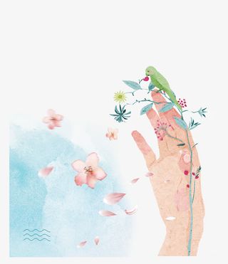 清新唯美手绘花朵插画免抠