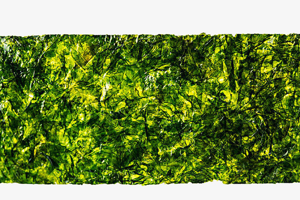 纹路清晰新鲜海苔免抠