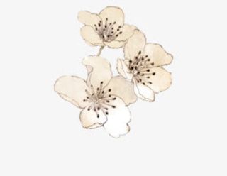 三朵桃花手绘免抠