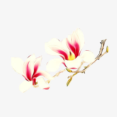 梨花免抠
