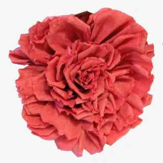 牡丹花 装饰 红色免抠