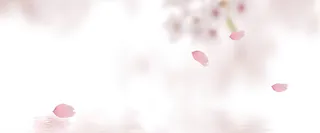 飘落花瓣水面背景高清